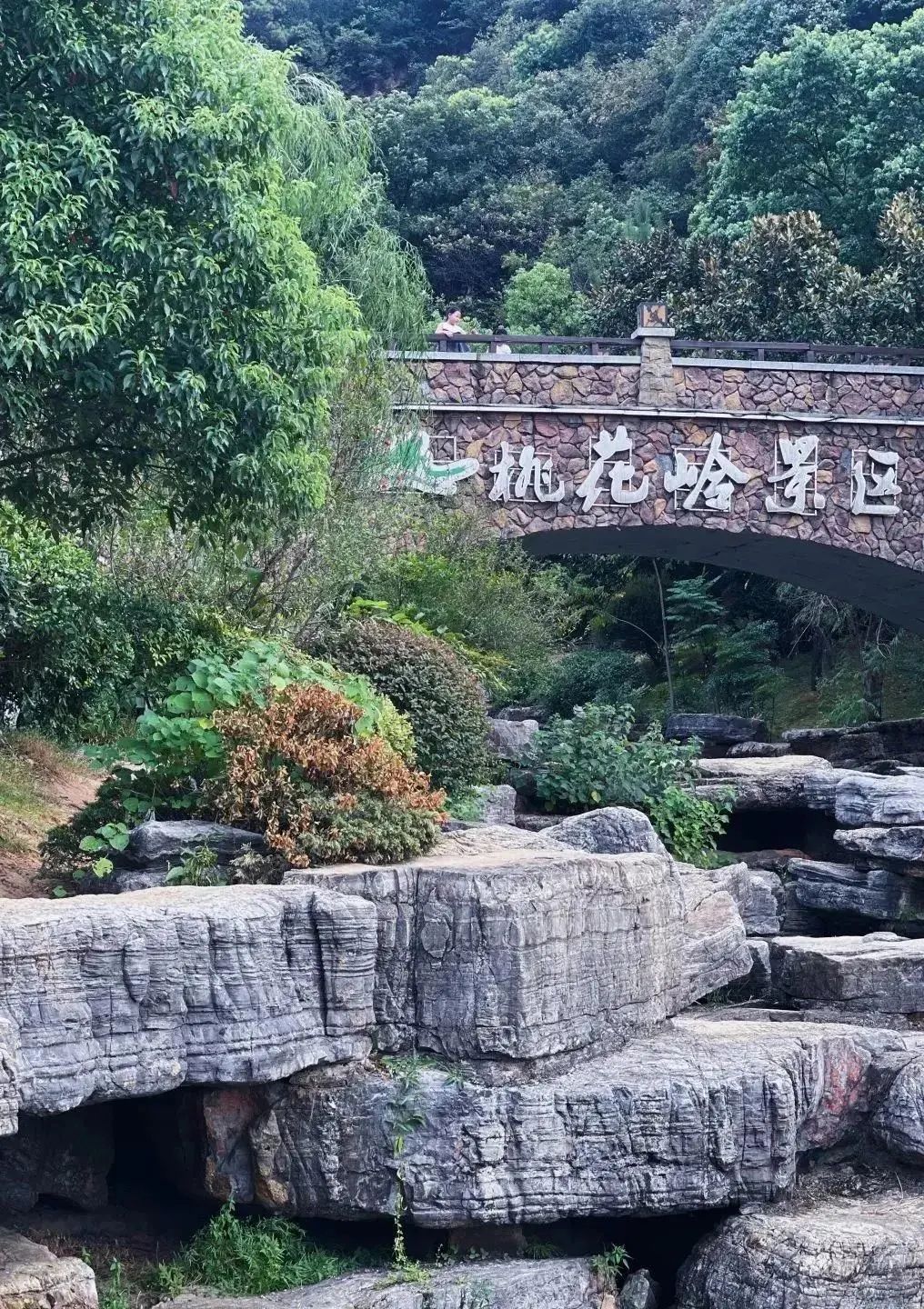 圖片